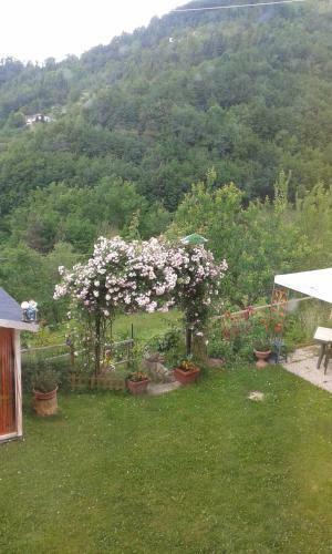 Bed & Breakfast C� D' Fefi