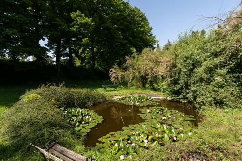 Bed & Breakfast Villa Il Rossignolo
