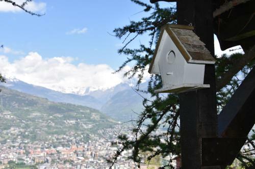 La Capanna Sull'albero de Ilvillaggiodibaffy