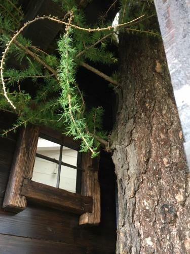 La Capanna Sull'albero de Ilvillaggiodibaffy