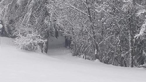 Casa Vacanza '' Pila E Bosco ''
