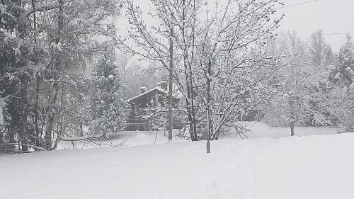 Casa Vacanza '' Pila E Bosco ''