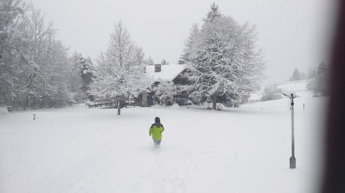 Casa Vacanza '' Pila E Bosco ''