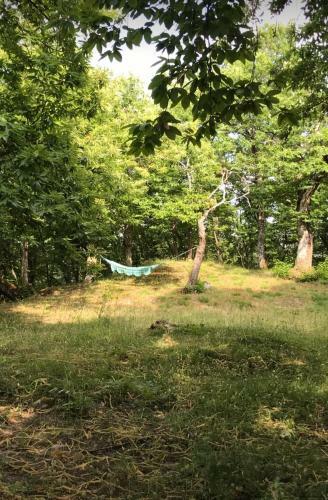 Angolo Di Paradiso B&B