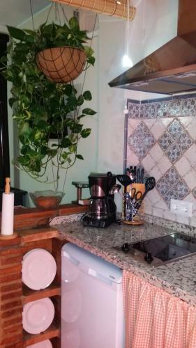 Apartamento Castor Y Polux