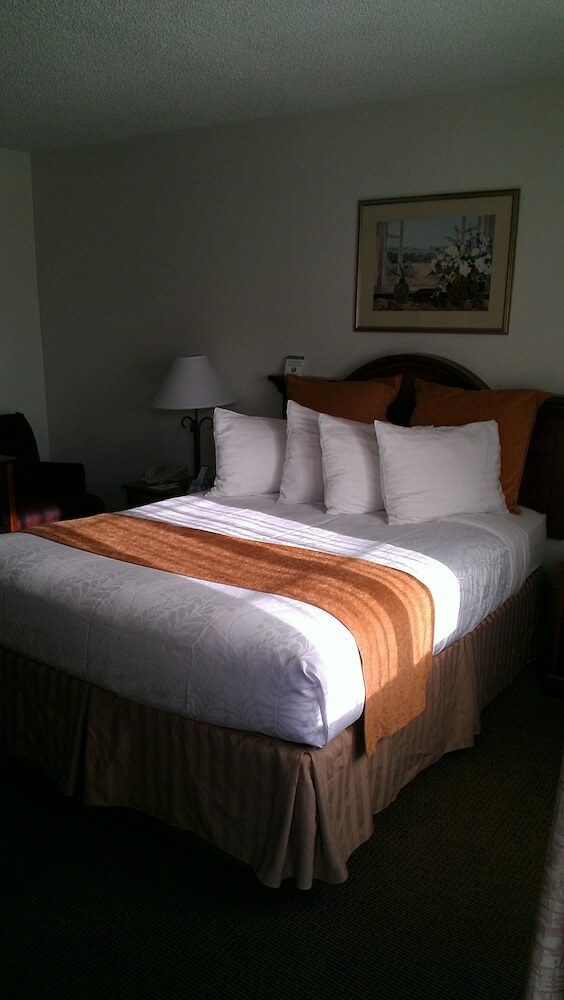 Hotel Best Western Plus Inn