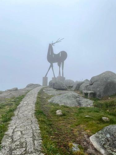 Villa River House In Vila Nova Cerveira