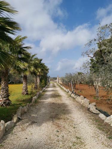 Apartamento La Casa Nella Pineta - Gallipoli