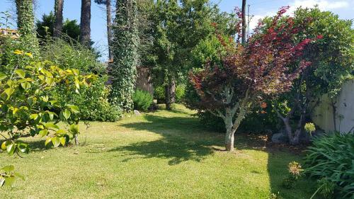 Maison de 250 M� Proche de L'oc�an Et Du Centre