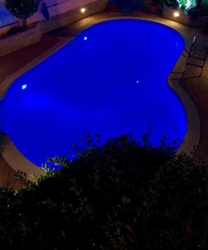 Casa Golfinho