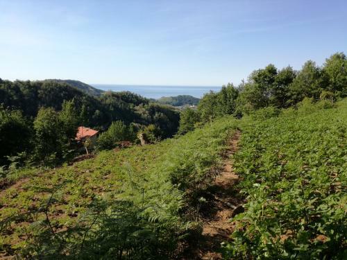 Agroturismo Agriturismo Verdure Naturali