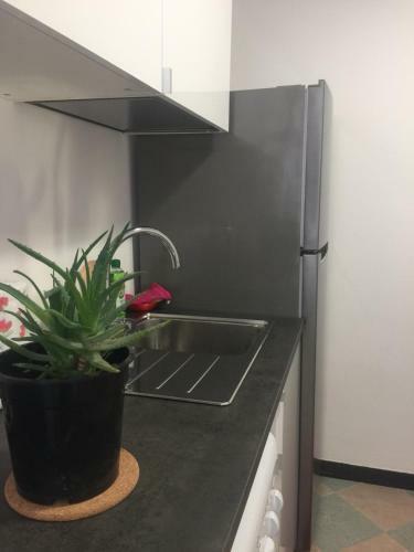 Apartamento Acciuga