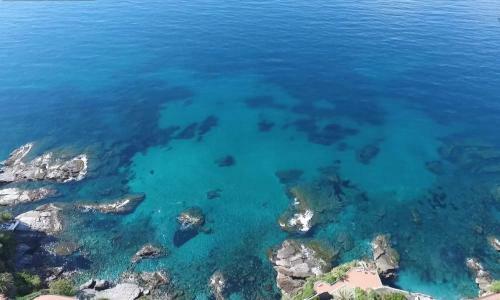 Camera Sopra Il Parco A 2 Passi Dal Mare
