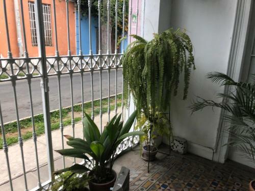 Hotel Domeyer Hostel