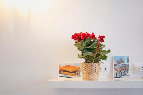 Apartamento Vac�nsa House
