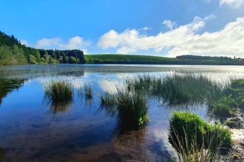 Monchique Islet View House T1