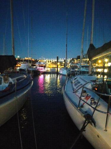 Private Yatch Douro Marina