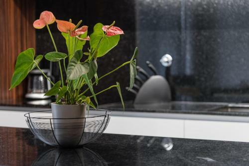 Guestready - Feel Good - Lux Apartment Gaiacomfort