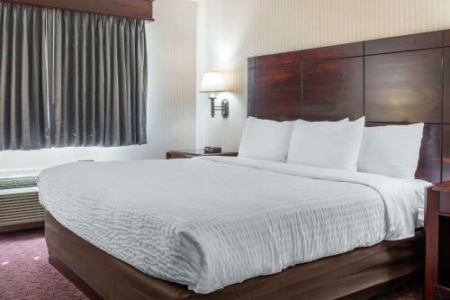 Hotel Wintergreen Resort & Conference Center
