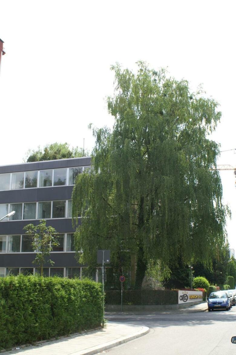 Hotel Creo Munich City