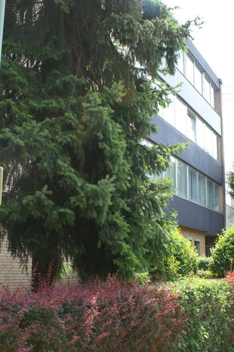 Hotel Creo Munich City