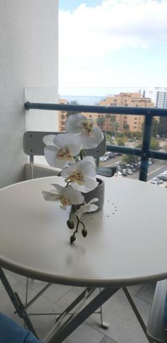 Apartamento T�lia Mar