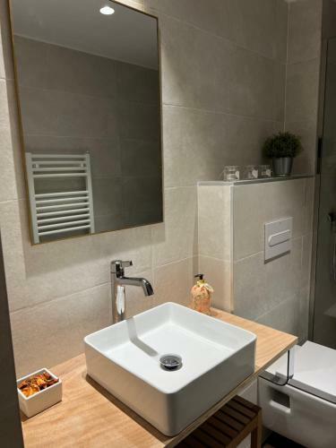 Apartamento Ibones