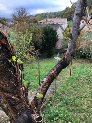 Apartamento Logement Perigueux