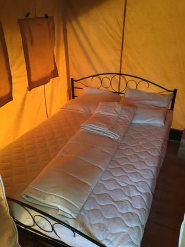 Tente de Vacance Luxues Champs Romain
