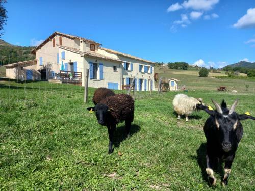 Apartamento Plaines-provence