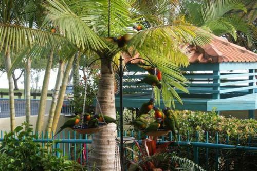 Aparthotel The Esplanade Picnic Point