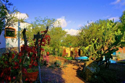 La Casa De Las Bugambilias - Boutique Villas Xichu