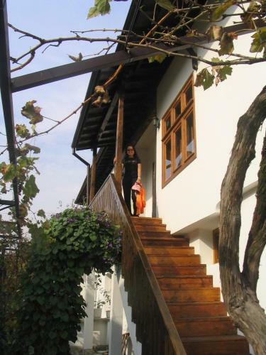 Hostel Mostel