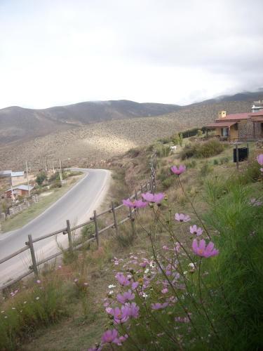 Lodge Caba�as Balcones De Tafi