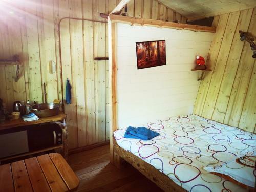Bed & Breakfast Cabane Spa Insolite