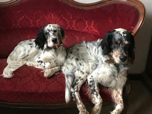Bed & Breakfast Chez Zoiseau Et Zoiseautte