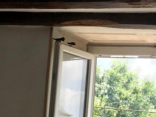Bed & Breakfast Chez Zoiseau Et Zoiseautte
