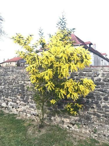 Bed & Breakfast Chez Zoiseau Et Zoiseautte