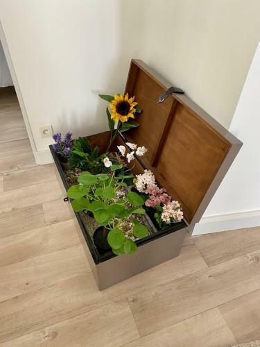 Apartamento Les Petits Roys