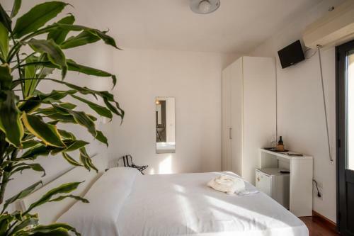 Bed & Breakfast & Bottle Moros