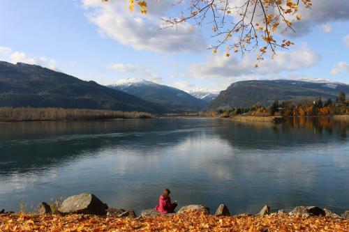 Motel Monashee Lodge