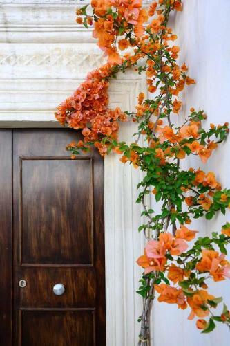 Bed & Breakfast Il Giardino