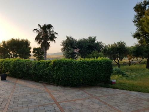 Villa Degli Ulivi