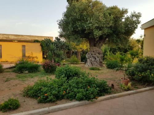 Villa Degli Ulivi