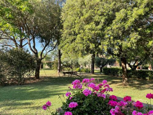 Agroturismo Agriturismo Salcino