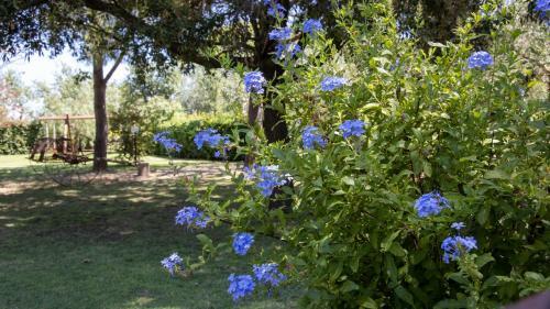 Agroturismo Agriturismo Salcino