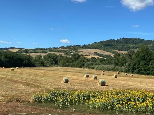 Apartamento Locazione Turistica Libertas