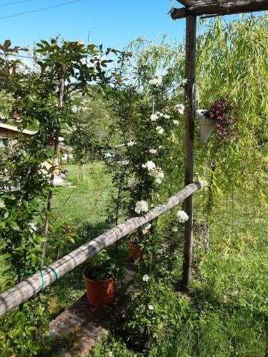 Apartamento La Bellana