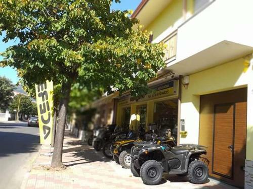 B&B The Bikers