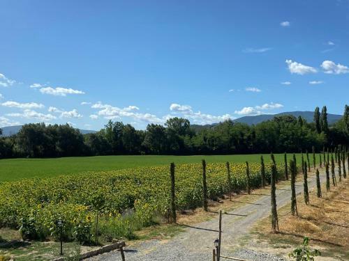 Apartamento Locazione Turistica Sommnium